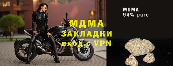 шишки Верея