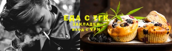 шишки Верея