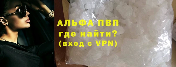 шишки Верея