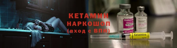 шишки Верея