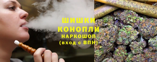 шишки Верея