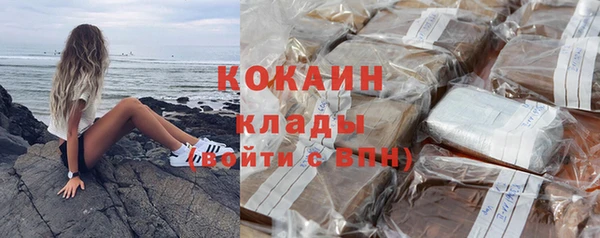 шишки Верея