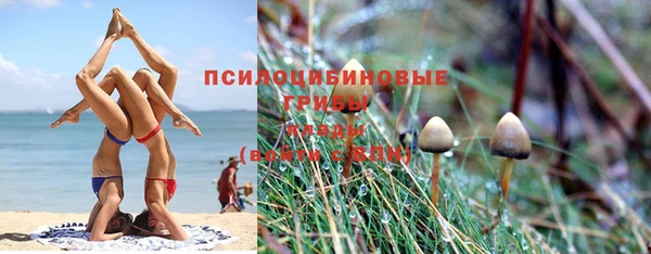 бутират Верхний Тагил