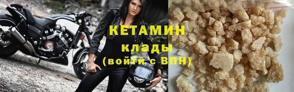шишки Верея