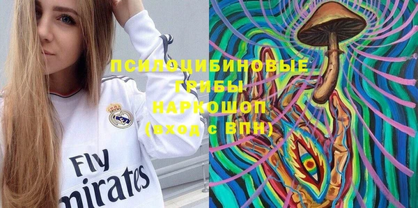 шишки Верея