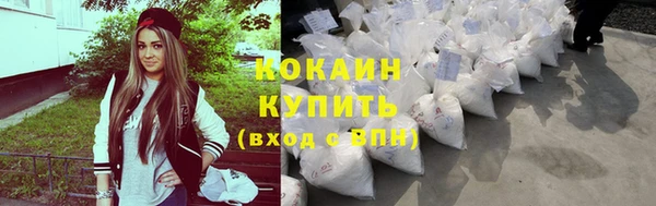 шишки Верея