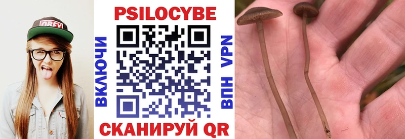 Псилоцибиновые грибы прущие грибы  купить наркоту  Наро-Фоминск 